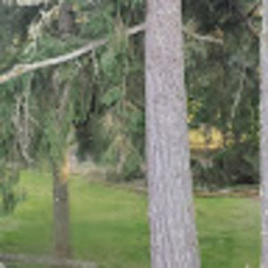 Meet your Posher, Sofia